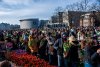 Olanda sărbătoreşte Ziua Naţională a Lalelei: 200.000 de flori au fost oferite, gratis, la Amsterdam 882019