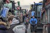 O femeie a fost ucisă la protestul național al fermierilor, după ce o mașină a intrat într-un blocaj rutier, în Franța | "A secerat trei persoane!" 882445
