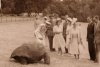 Prințul Edward a întâlnit o țestoasă care a fost contemporană cu reginele Victoria și Elisabeta. Jonathan este considerat cel mai bătrân animal terestru din lume 882801