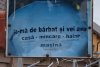 Un medic ginecolog din Iaşi şi-a decorat curtea cu păpuşi gonflabile, cătuşe şi mesaje deocheate pentru vecini 882933