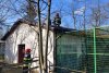Incendiu la Grădina Zoologică din Râmnicu Vâlcea. A luat foc acoperişul pavilionului unde sunt maimuţele 883266
