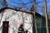 Incendiu la Grădina Zoologică din Râmnicu Vâlcea. A luat foc acoperişul pavilionului unde sunt maimuţele 883268