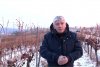 Secretul "vinului de gheaţă" din România, pe care Vaticanul îl comandă an de an, în preajma Sărbătorilor Pascale 883277