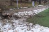 Un copac putred s-a prăbuşit peste un loc de joacă, în parcul Bordei din Bucureşti 884687