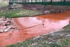 Alertă în județul Bihor! Poluarea cauzată de prăbușirea unei galerii miniere se întinde pe 17 kilometri din Valea Borod 889512