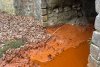 Alertă în județul Bihor! Poluarea cauzată de prăbușirea unei galerii miniere se întinde pe 17 kilometri din Valea Borod 889513