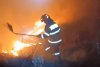 Incendiu violent în Mureș | Mai mult de 20 de hectare de vegetație uscată au fost cuprinse de flăcări 889623