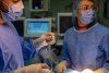 "Îngeri pe pământ". Premieră în România: Operaţie pe creier, prin pleoapă. Pacientul a scăpat de crizele de epilepsie pe care le avea încă din copilărie 890321
