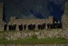 Premieră absolută: Corul Madrigal a filmat un videoclip în orașul-templu Machu Picchu, la 2.400 de metri altitudine 892237