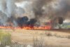 Peste 10.000 de metri pătraţi de vegetaţie au ars în Delta Văcăreşti 892974