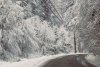 Ninge abundent în centrul țării | Mai multe drumuri sunt acoperite de zăpadă: "Nu plecați la drum dacă nu sunteți pregătiți pentru condiții de iarnă" 893638