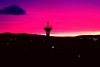 Fenomen spectaculos pe cerul României! Răsărit roșu sau roz intens, cu particule de praf saharian, surprins în mai multe orașe din țară 894059