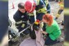 O căţeluşă blocată într-o conductă a fost salvată de pompieri din Iaşi, în urma unui apel la 112 895109