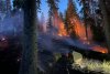 Un incendiu de pădure din zona Lăpuşna s-a extins pe circa 40 de hectare din cauza vântului 897636