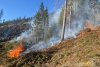 Un incendiu de pădure din zona Lăpuşna s-a extins pe circa 40 de hectare din cauza vântului 897637