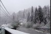Iarna s-a întors în România! A nins puternic în mai multe zone ale țării, iar ANM anunță că precipitațiile se extind 897842