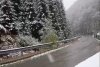 Iarna s-a întors în România! A nins puternic în mai multe zone ale țării, iar ANM anunță că precipitațiile se extind 897843