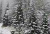 Iarna s-a întors în România! A nins puternic în mai multe zone ale țării, iar ANM anunță că precipitațiile se extind 897844