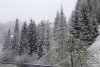 Iarna s-a întors în România! A nins puternic în mai multe zone ale țării, iar ANM anunță că precipitațiile se extind 897845