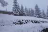 Ninge abundent în mai multe zone din ţară! Imagini cu zăpada care se aşterne spectaculos. Drumarii intervin cu utilajele de deszăpezire 898601
